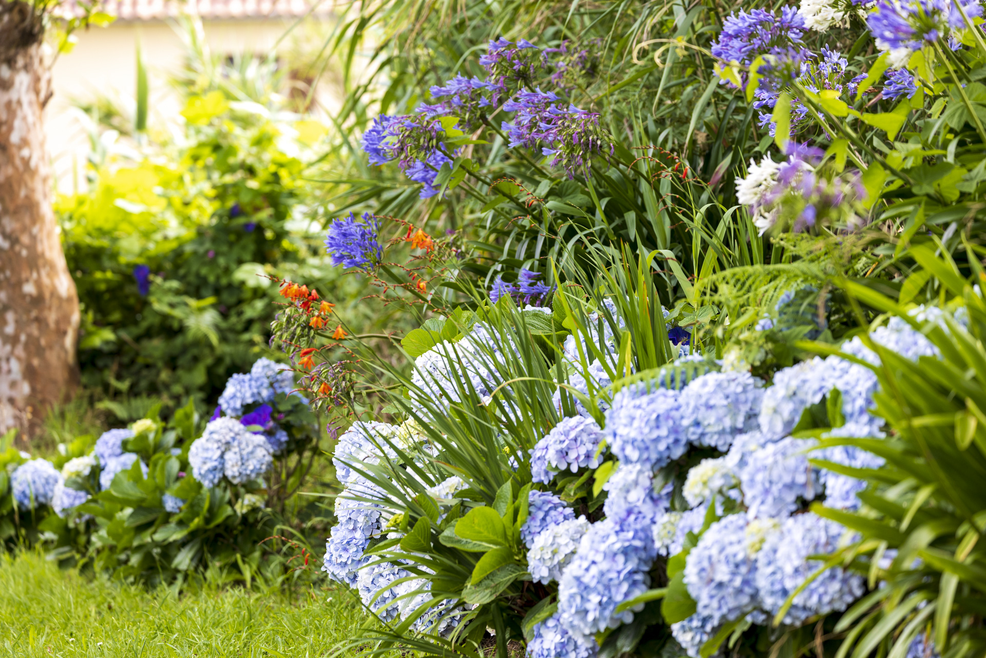 Hojatxonada onanizm bilan shugullanadigan odamlarning fotosuratlari