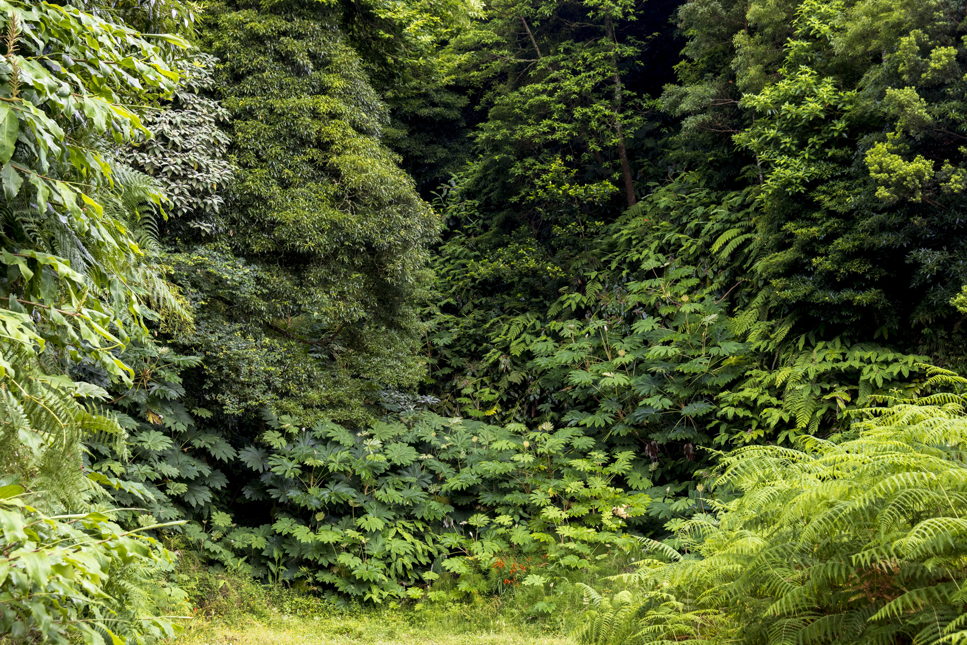 Porno filmda shlyapa ichida