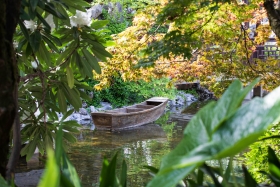 Das Boot auf dem Teich