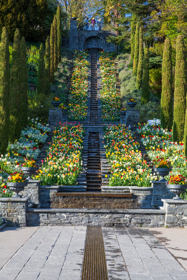 Blumen-Wassertreppe in vollem Flor