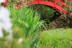 Die japanische Brücke am Teich