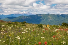 Blick zum Mt. St. Helens