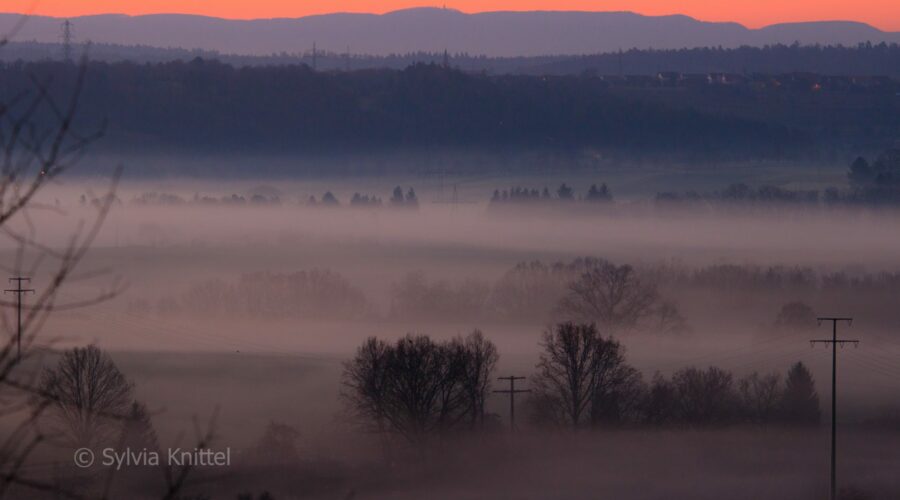 Sonnenaufgang, Rauher Kapf, Böblingen, Weihnachten