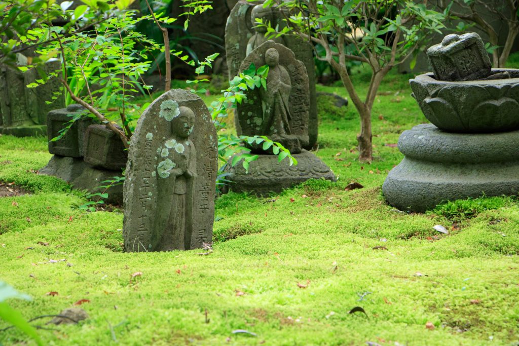 Photo: Hydrangea-Flash mit Bodhisattva