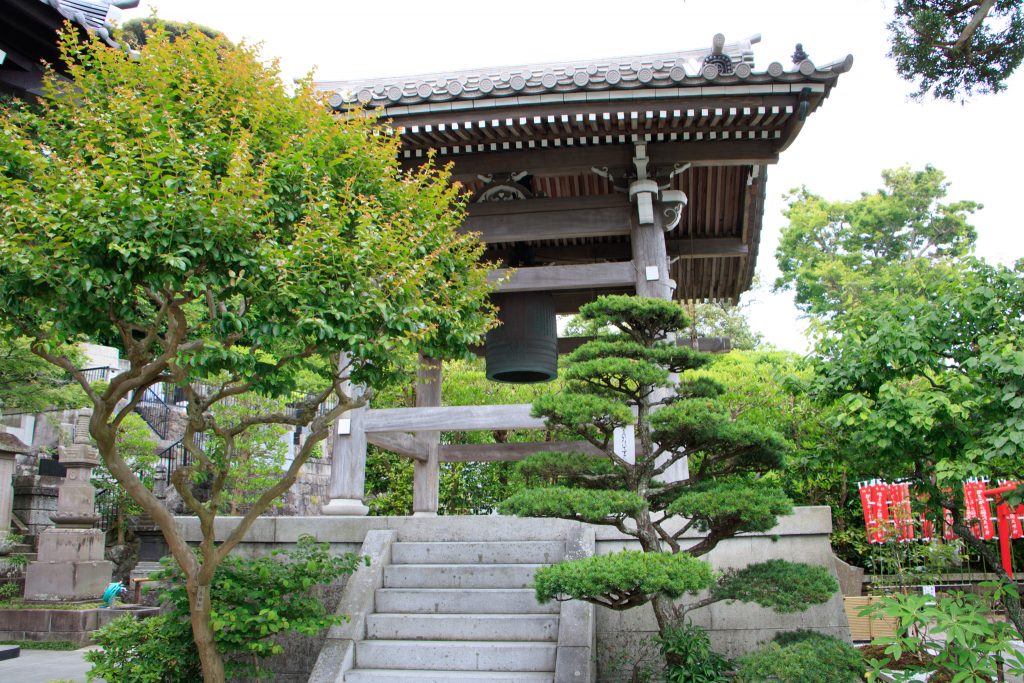 Photo: Hydrangea-Flash mit Bodhisattva