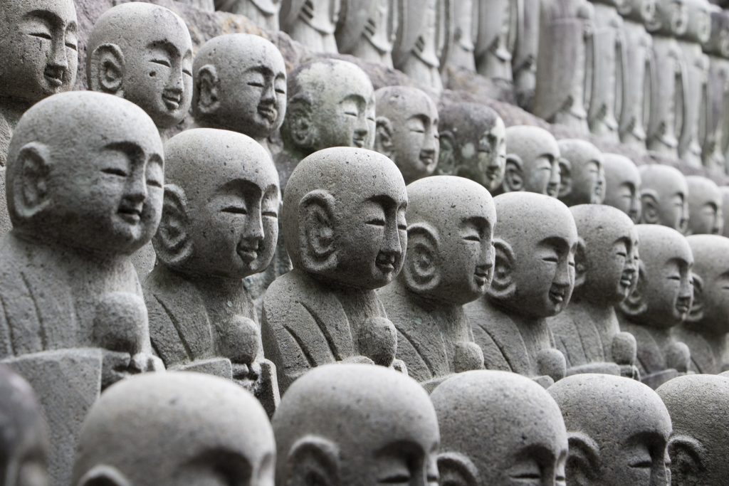 Photo: Hydrangea-Flash mit Bodhisattva