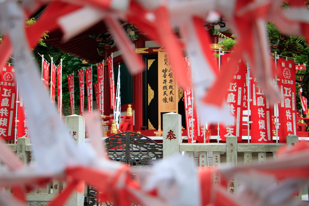 Photo: Hydrangea-Flash mit Bodhisattva