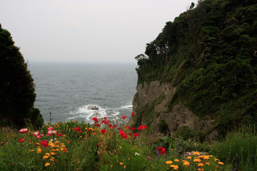 Photo: Hydrangea-Flash mit Bodhisattva