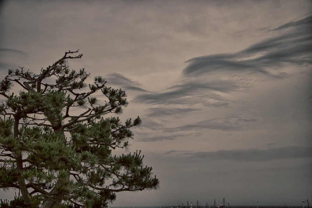 Photo: Hydrangea-Flash mit Bodhisattva