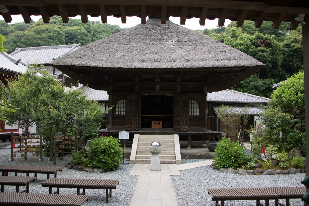 Photo: Hydrangea-Flash mit Bodhisattva