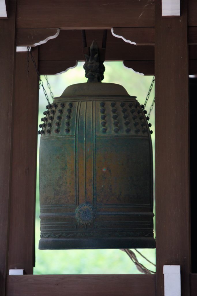 Photo: Hydrangea-Flash mit Bodhisattva