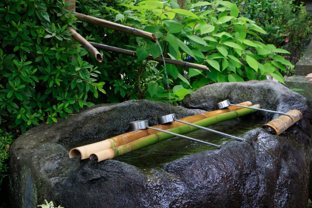 Photo: Hydrangea-Flash mit Bodhisattva