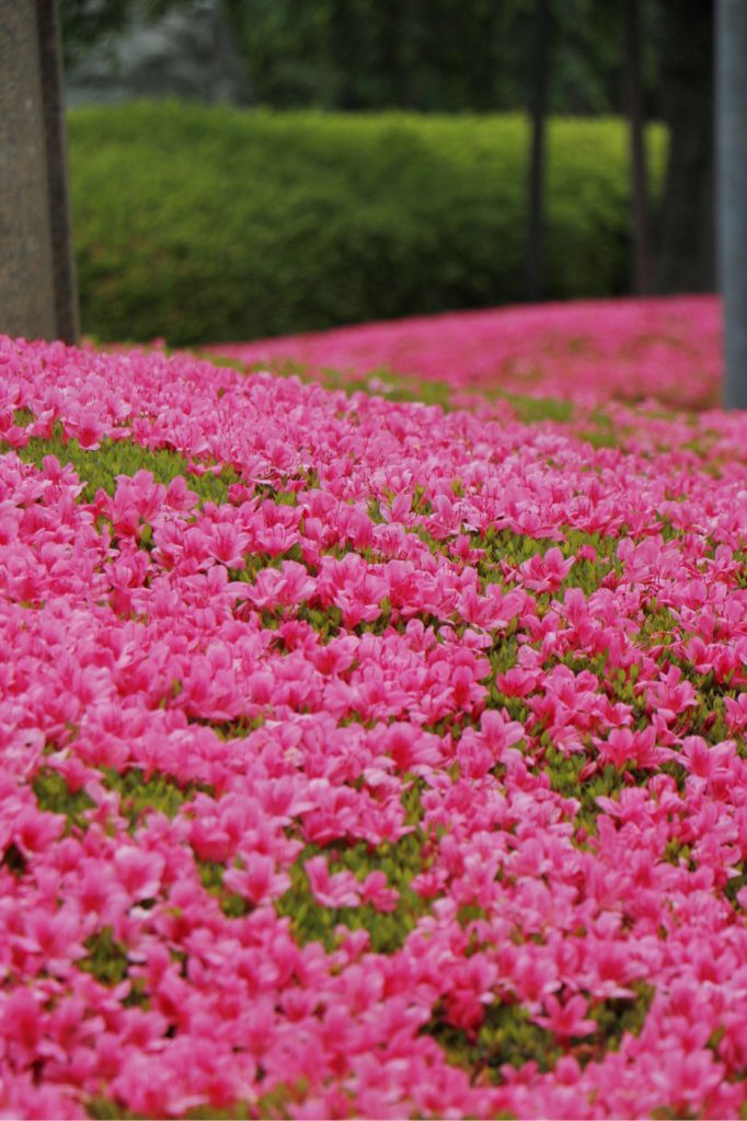 Photo: Tokyo Walks Nummer 1