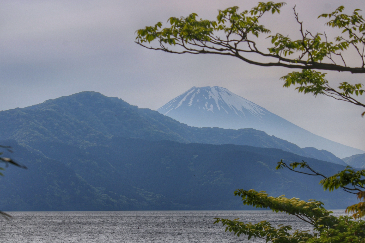 Photo: Fuji-Mania