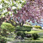 Bild: Kitschalarm am Toya-See Photo: Kitschalarm am Toya-See