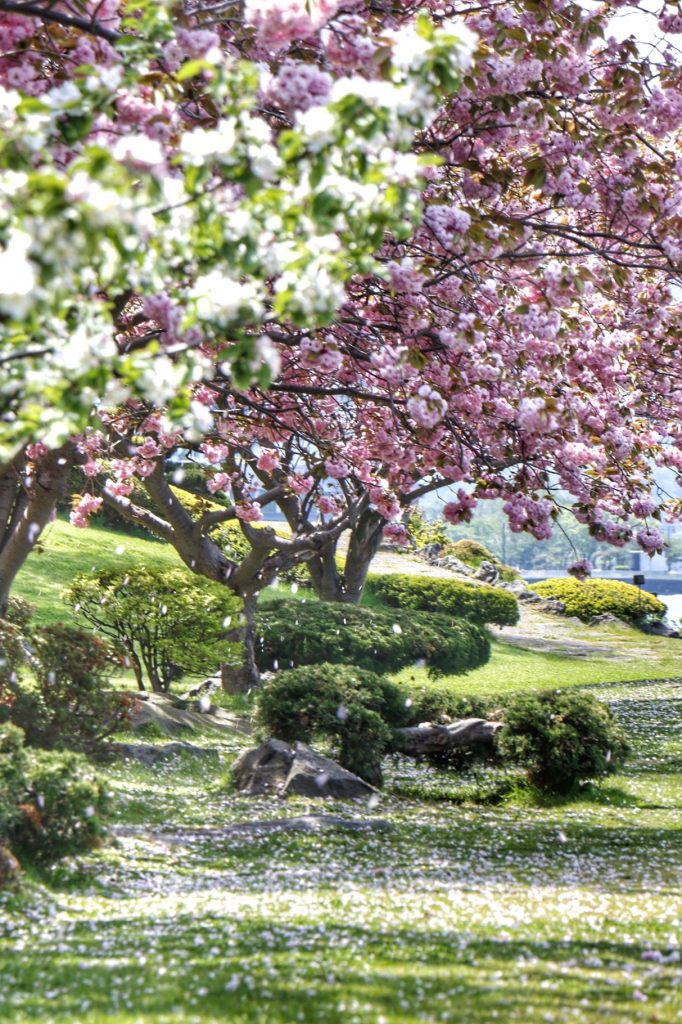 Photo: Kitschalarm am Toya-See