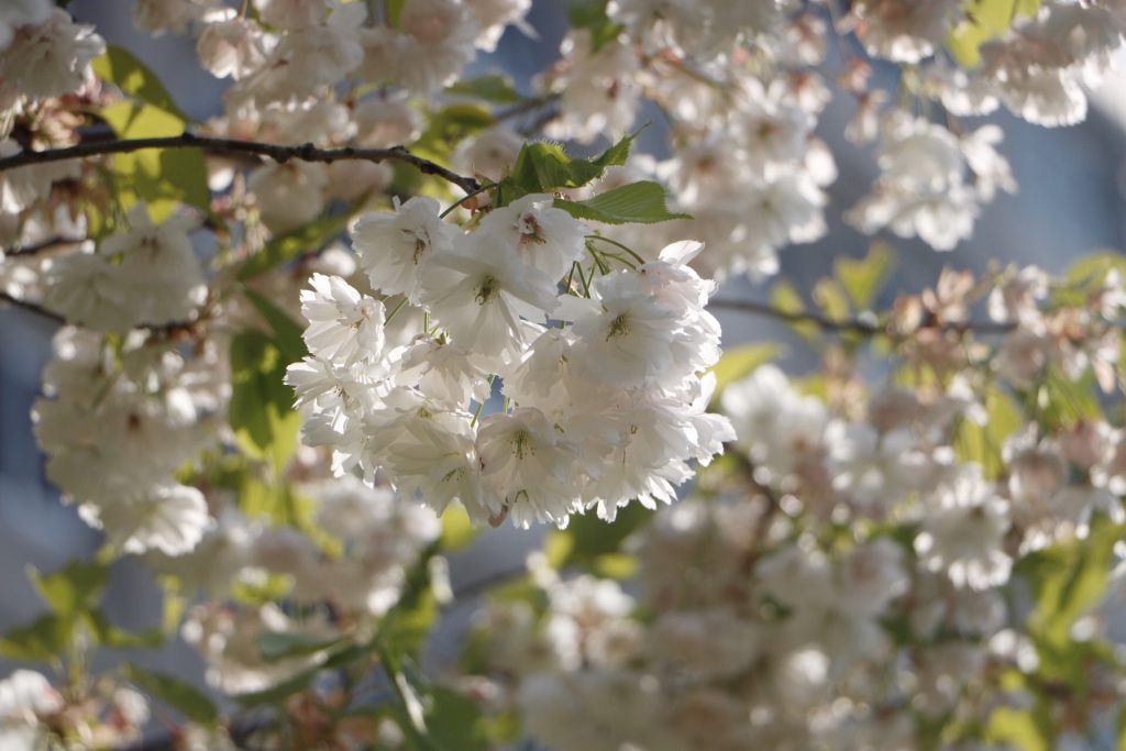 Photo: Kitschalarm am Toya-See