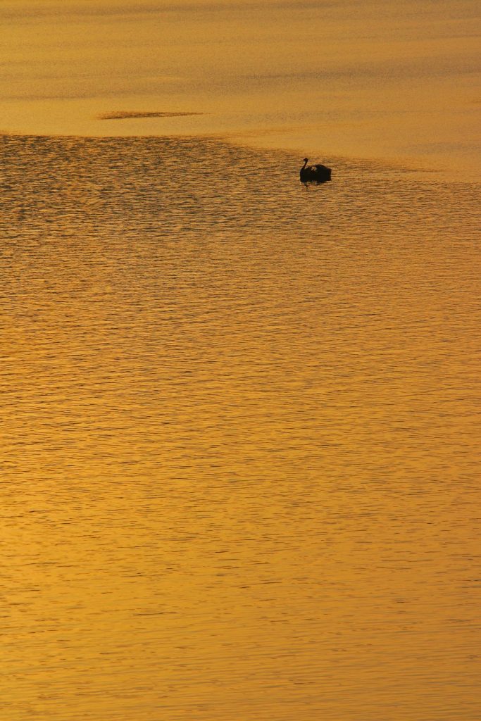 Photo: Kitschalarm am Toya-See