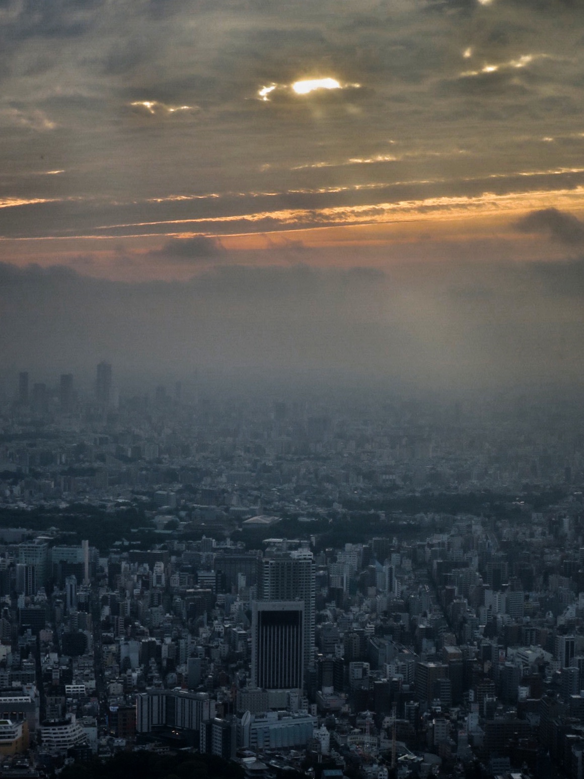 Photo: Megacity Tokyo