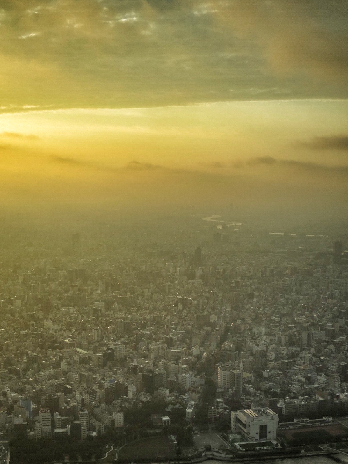 Photo: Megacity Tokyo