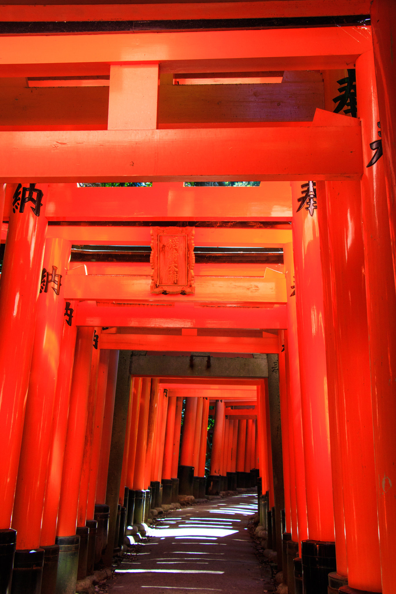 Photo: Kyoto Tempelwahn, Teil 2