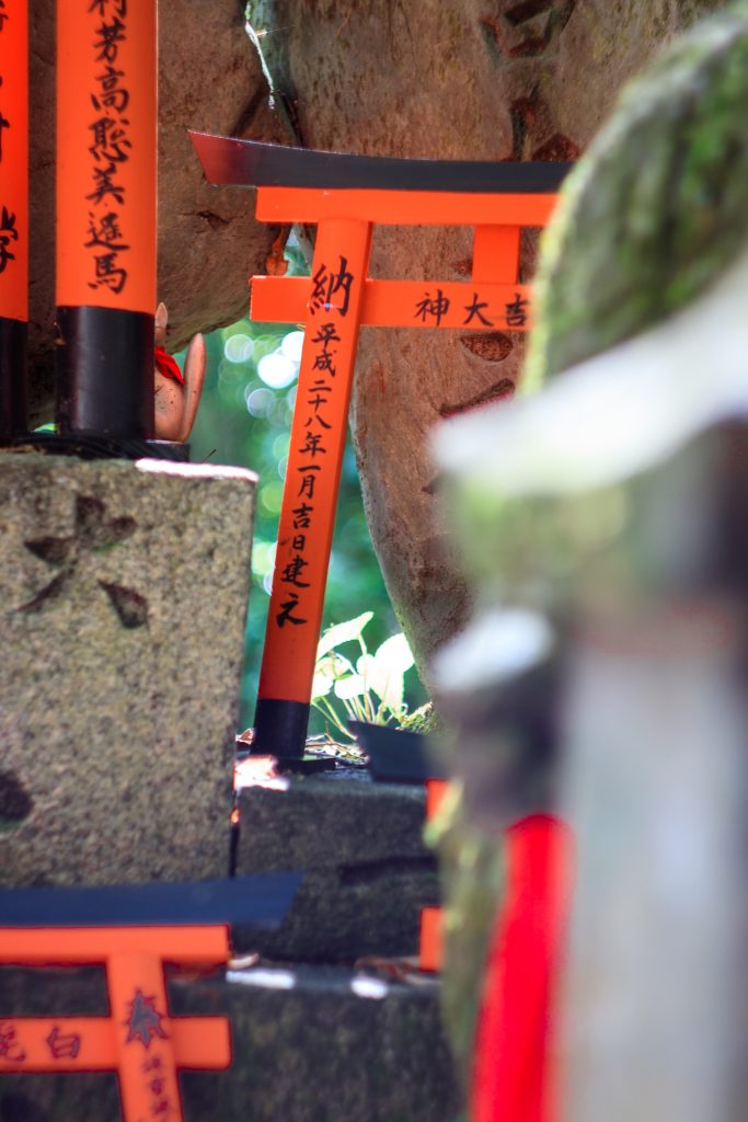 Photo: Kyoto Tempelwahn