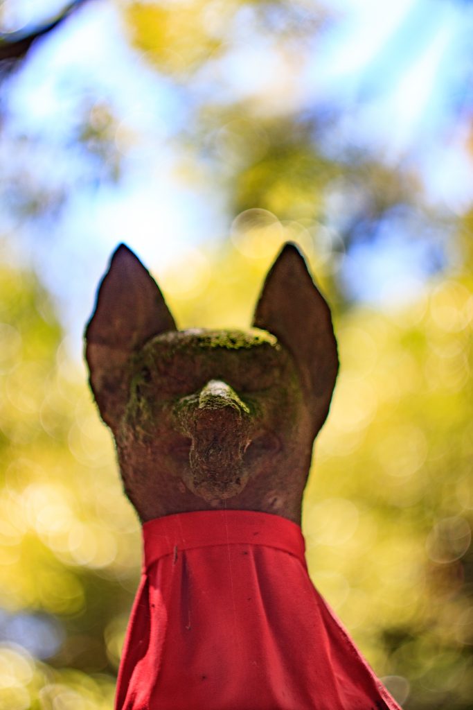 Photo: Kyoto Tempelwahn