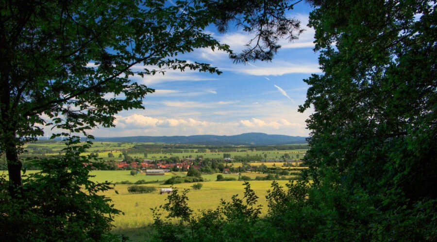 Der Wartburgblick am Rand des Hainich