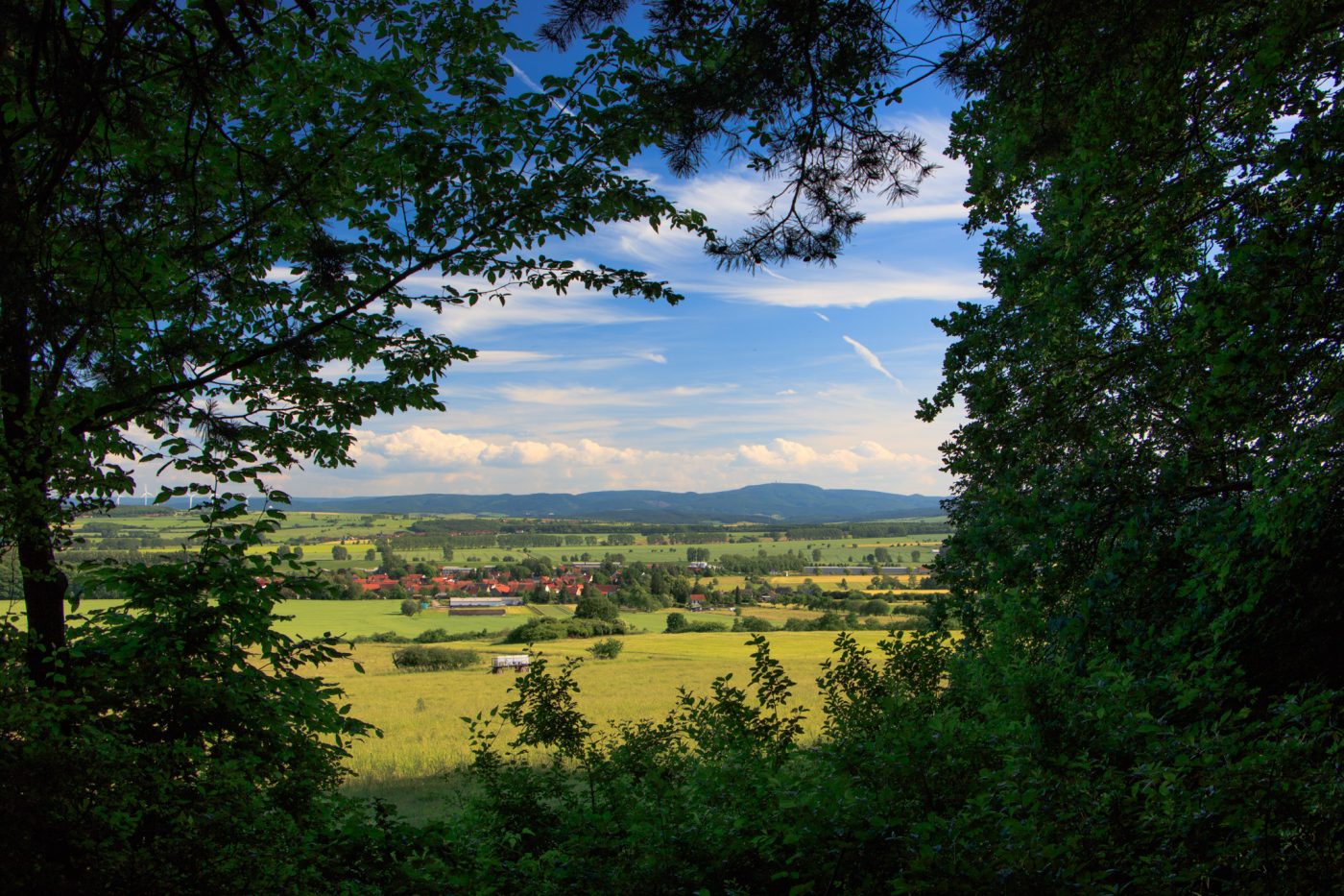 Der Wartburgblick am Rand des Hainich