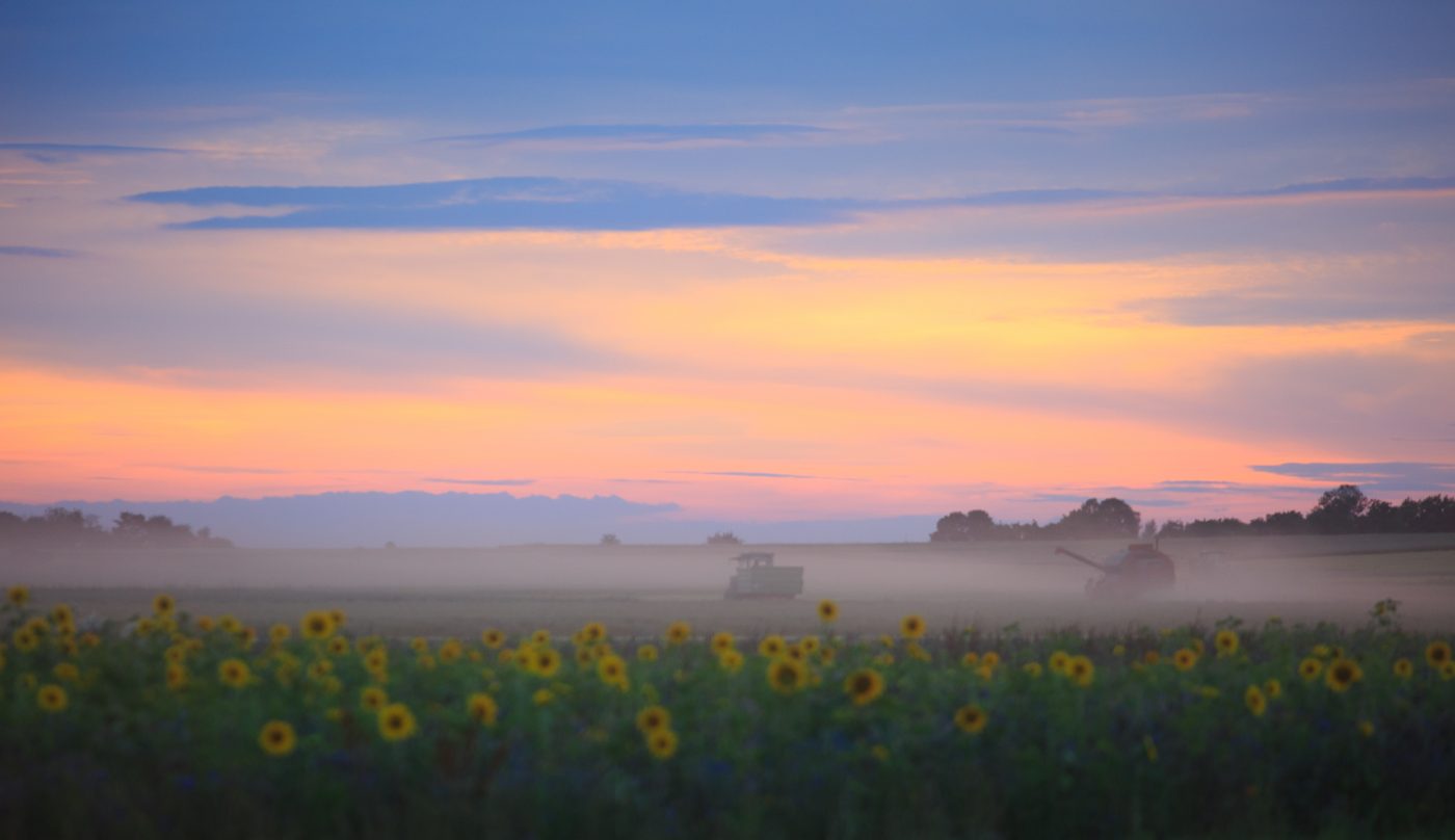 Photo: Sommer-Sonnenuntergang auf dem Feld