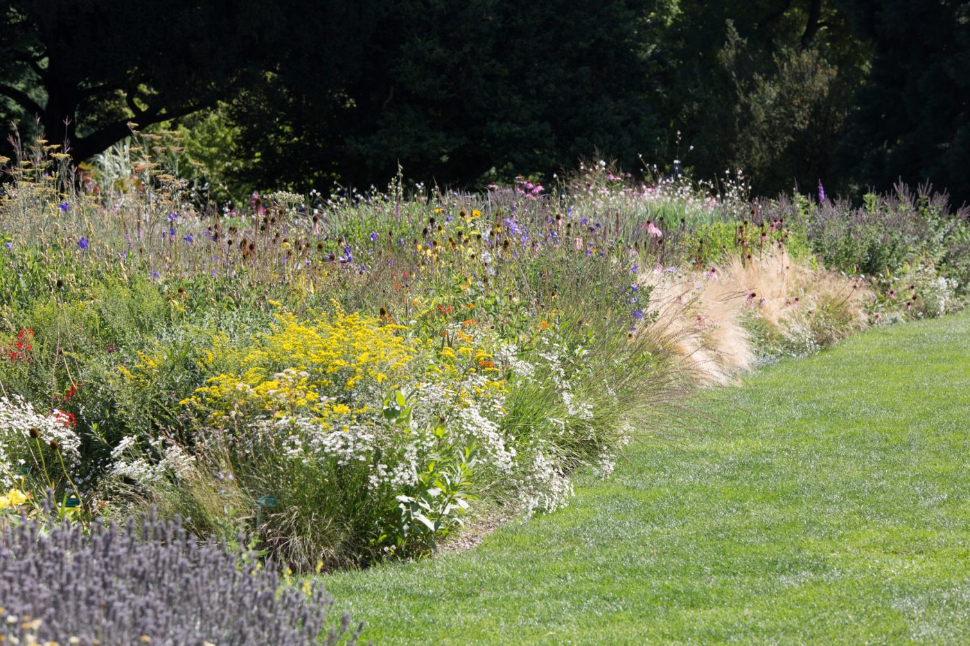 Bild: Der Vergleich des Unvergleichlichen: Weihenstephan und Hermannshof Photo: Der Vergleich des Unvergleichlichen: Weihenstephan und Hermannshof