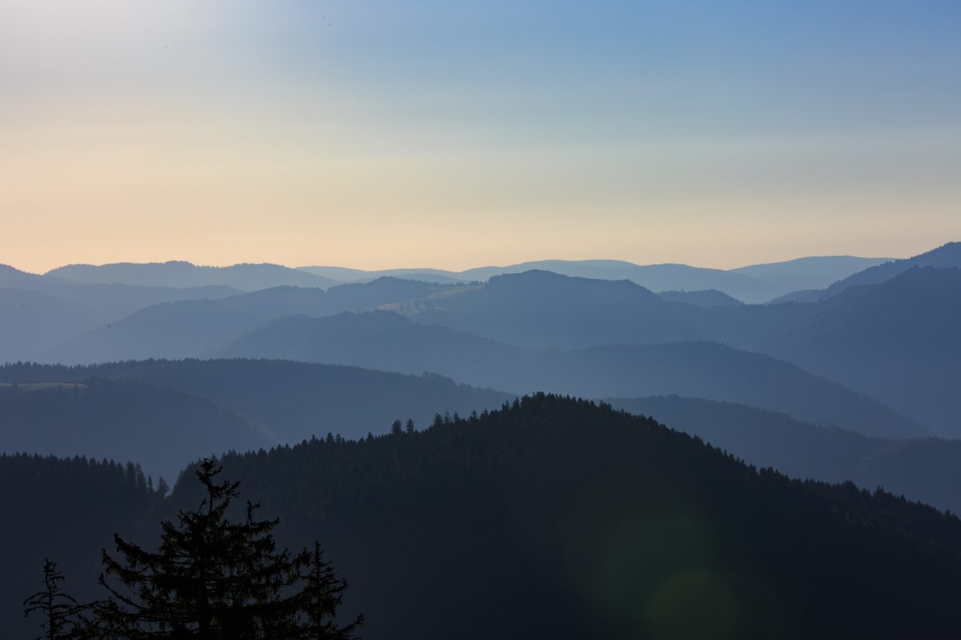 Photo: Ein Sommer-Sonnenaufgang im Schwarzwald