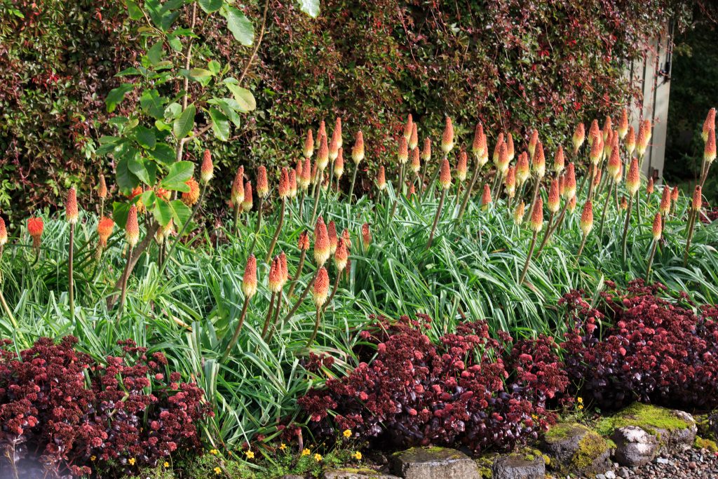 Photo: Dunvegan: Ein Garten auf der Isle of Skye