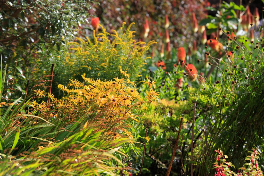 Photo: Dunvegan: Ein Garten auf der Isle of Skye