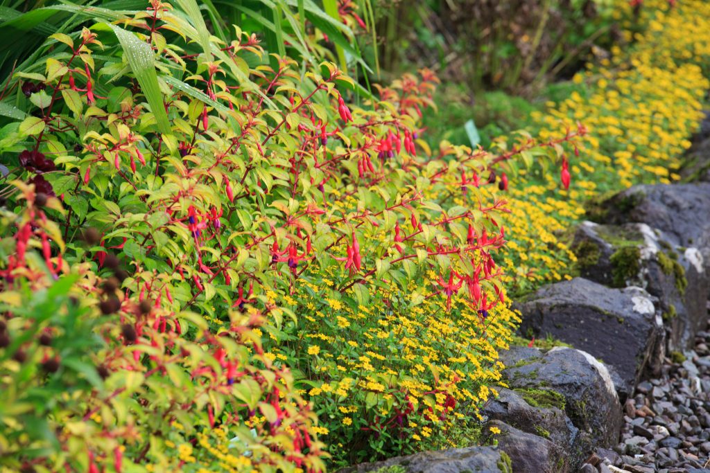 Photo: Dunvegan: Ein Garten auf der Isle of Skye