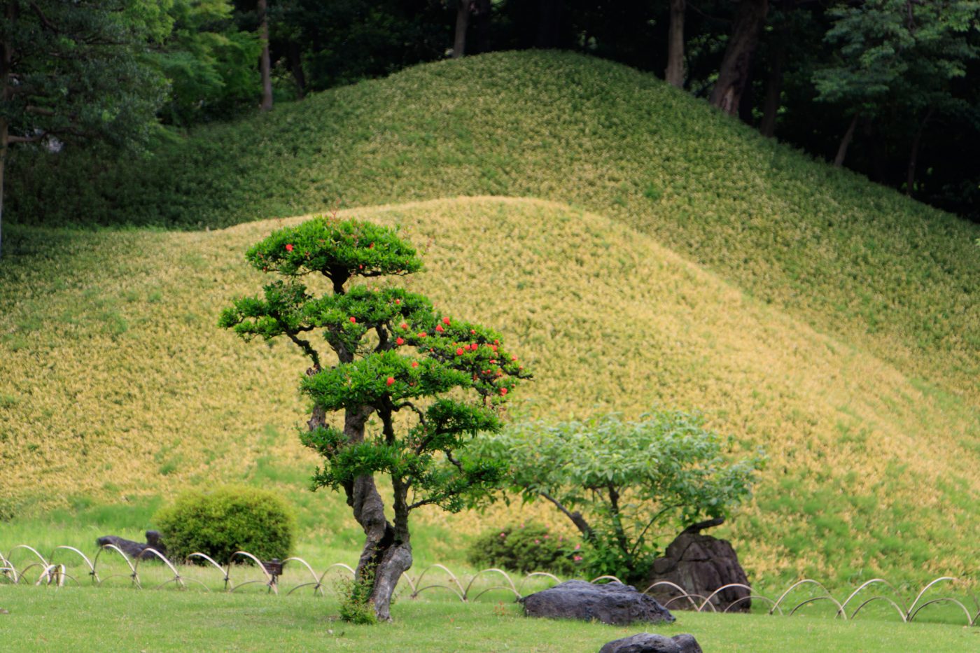 Photo: Ein japanischer Garten als Meditation