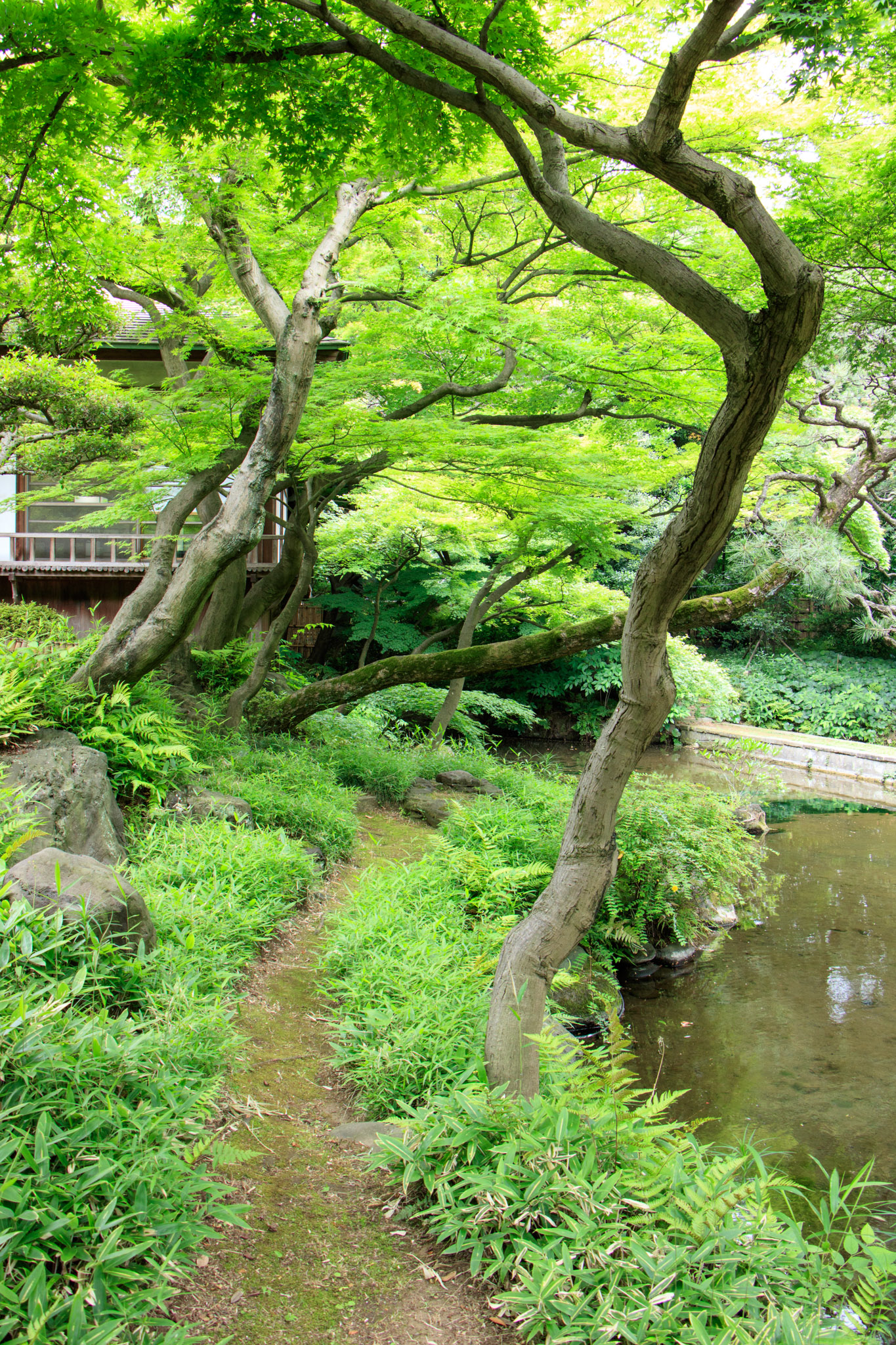 Photo: Ein japanischer Garten als Meditation