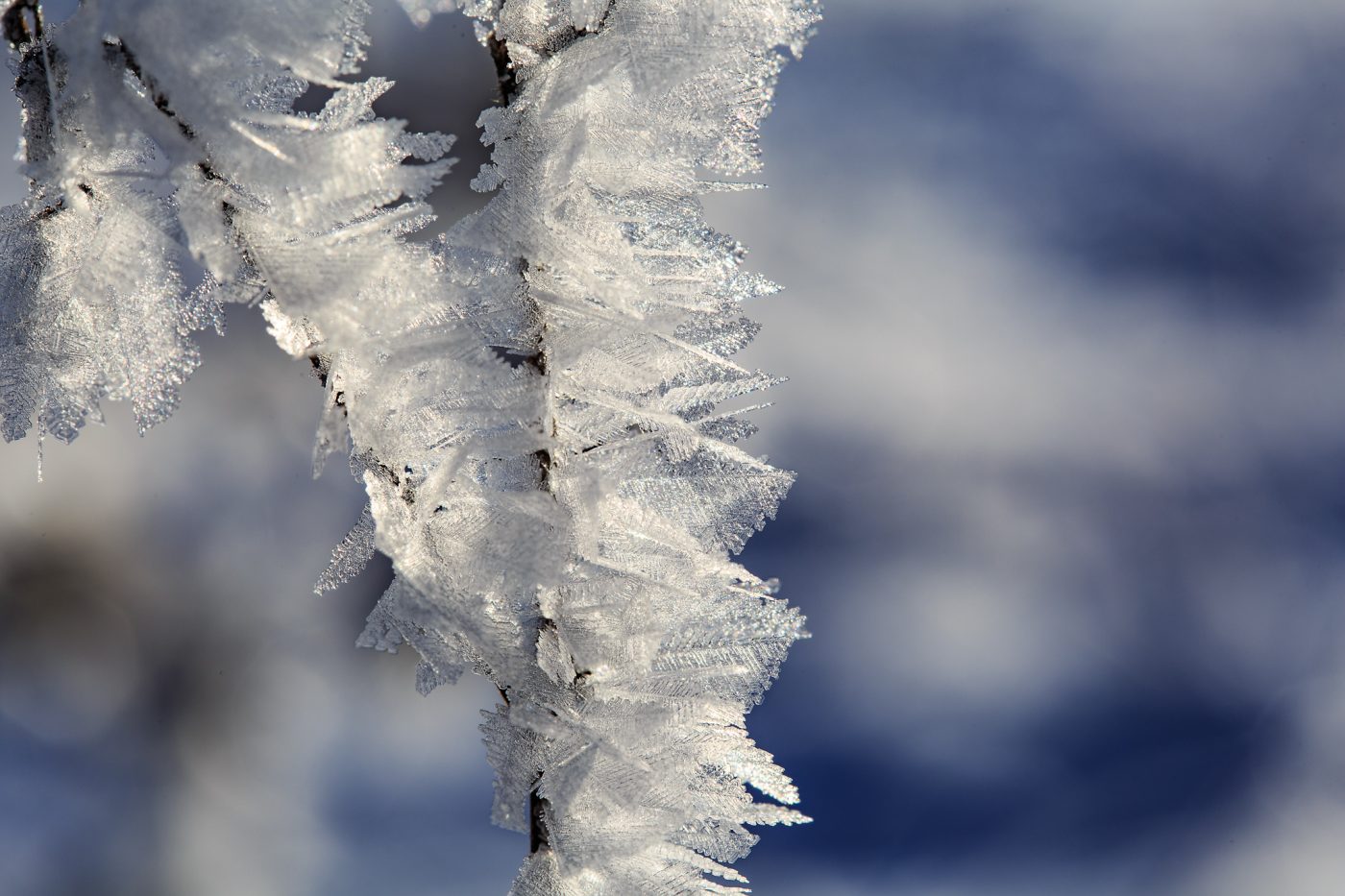 Photo: Winter in voller Pracht - Genieße den Tag