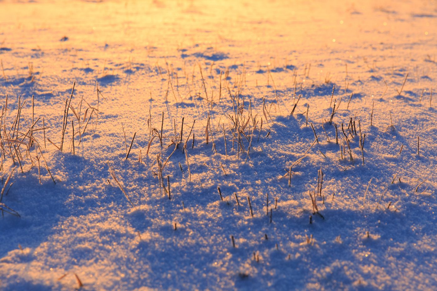 Photo: Winter in voller Pracht - Genieße den Tag