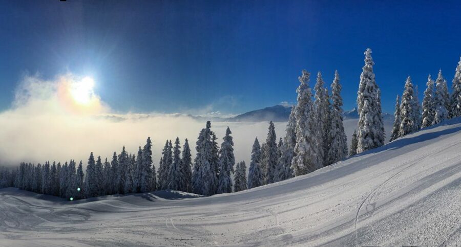 Zell am See Panorama Piste Schnee
