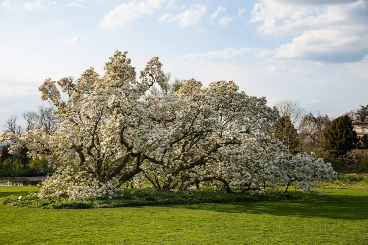 Photo: Der Hermannshof - das Gartenparadies