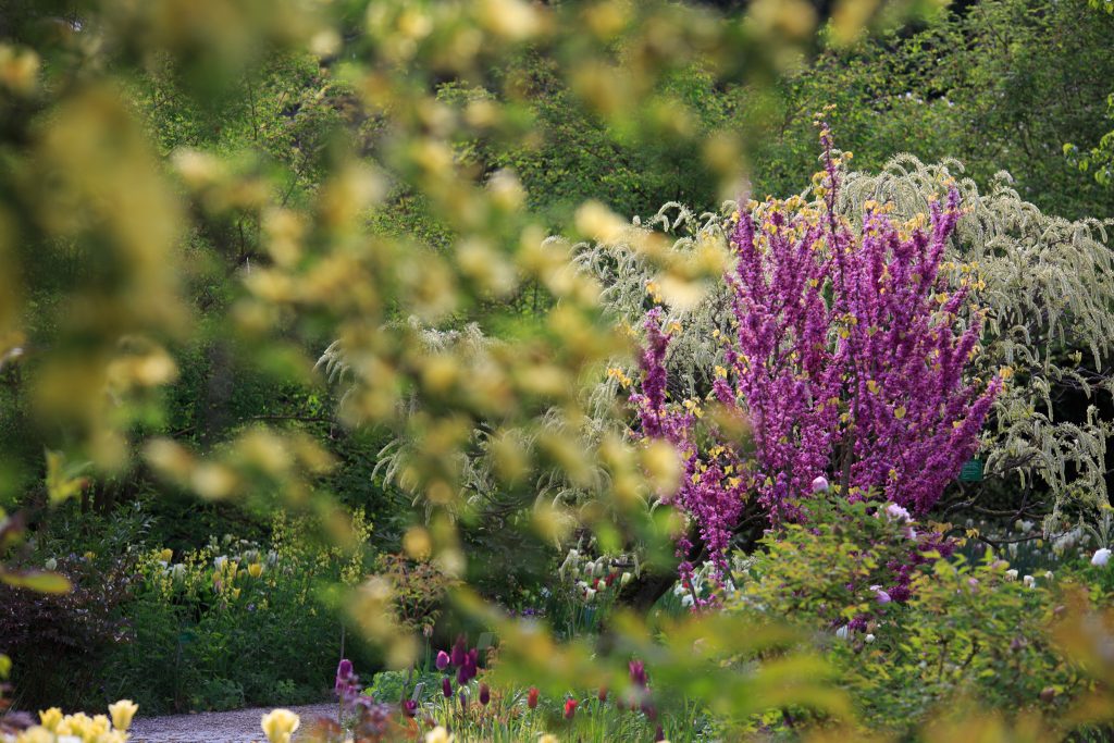 Photo: Der Hermannshof - das Gartenparadies