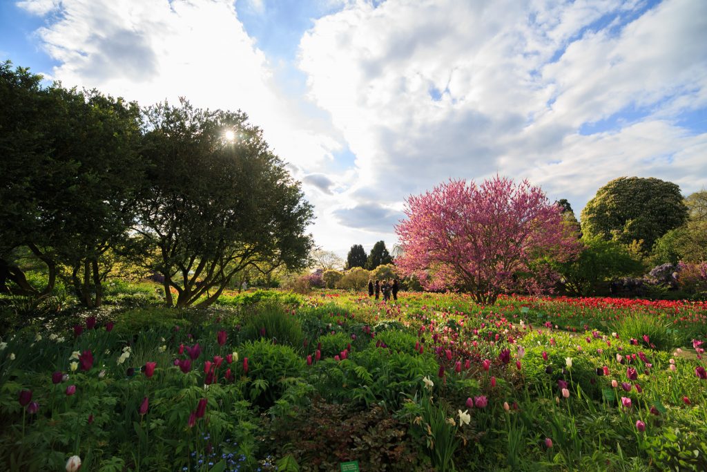 Photo: Der Hermannshof - das Gartenparadies