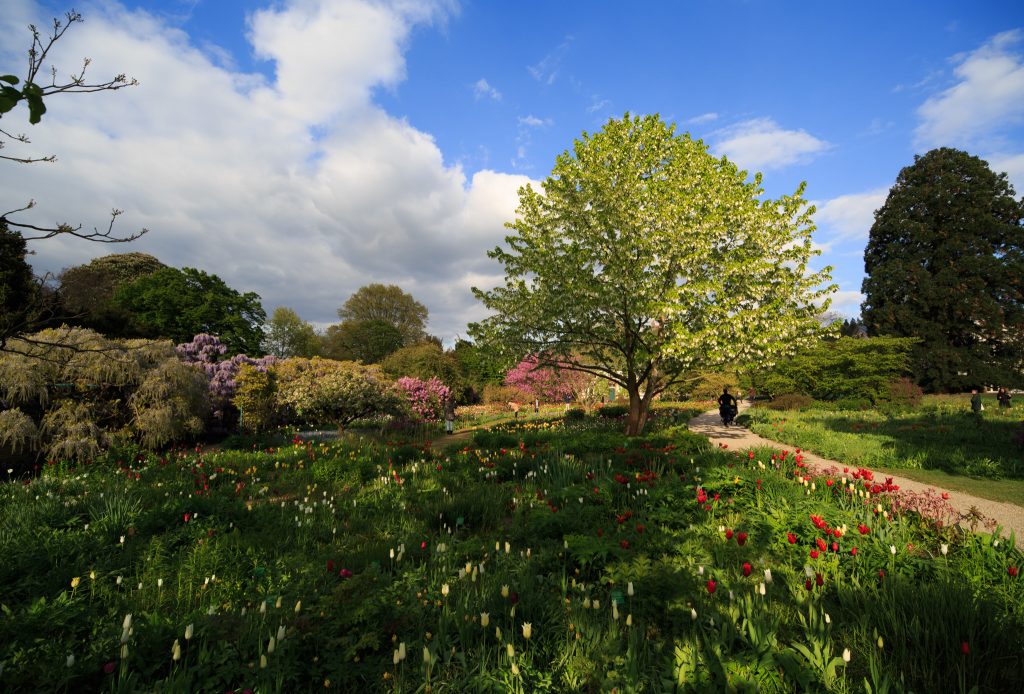 Photo: Der Hermannshof - das Gartenparadies