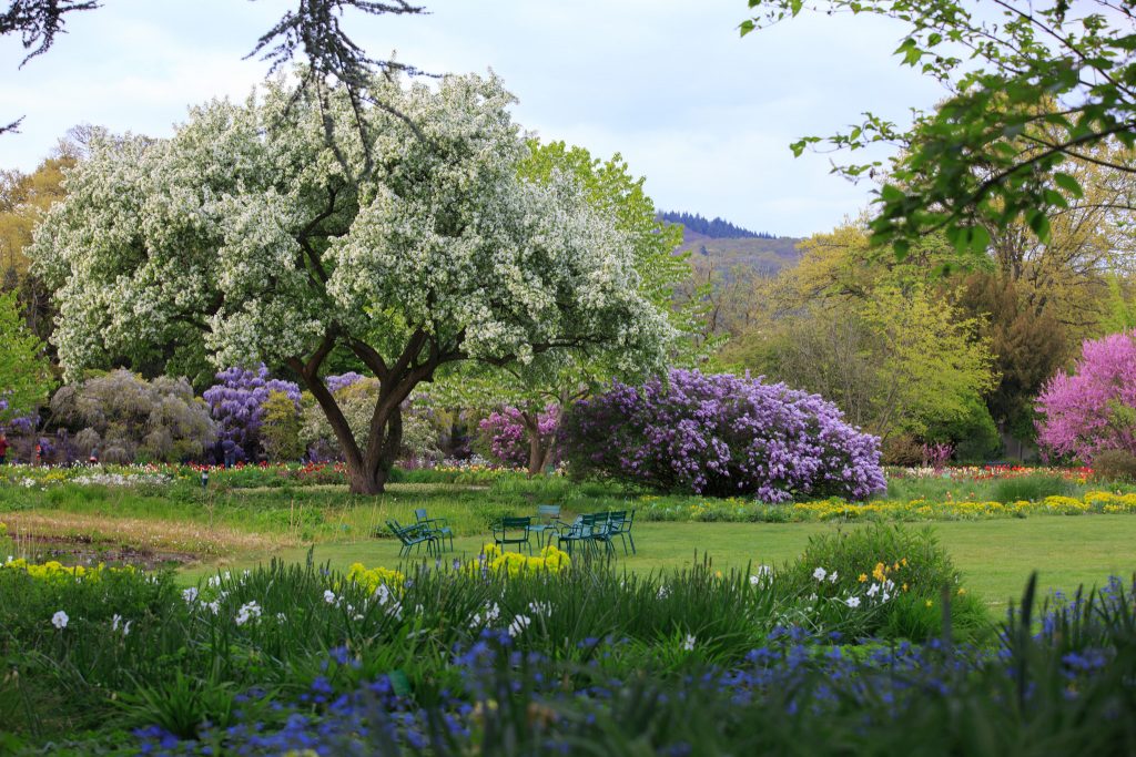 Photo: Der Hermannshof - das Gartenparadies