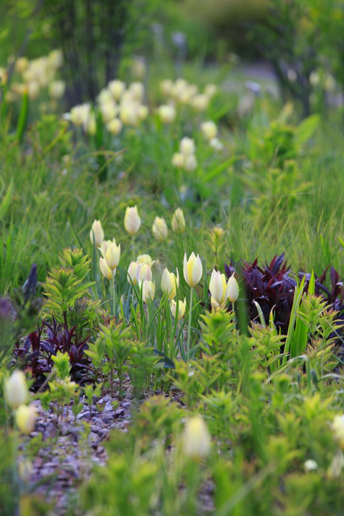 Photo: Der Hermannshof - das Gartenparadies