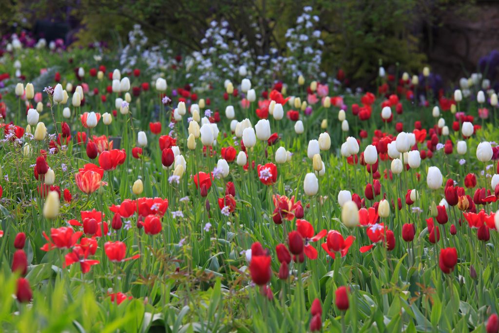 Photo: Der Hermannshof - das Gartenparadies