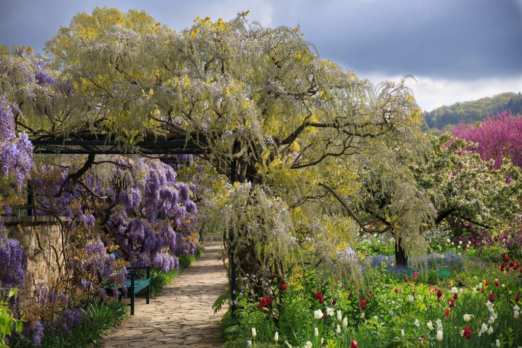 Photo: Der Hermannshof - das Gartenparadies