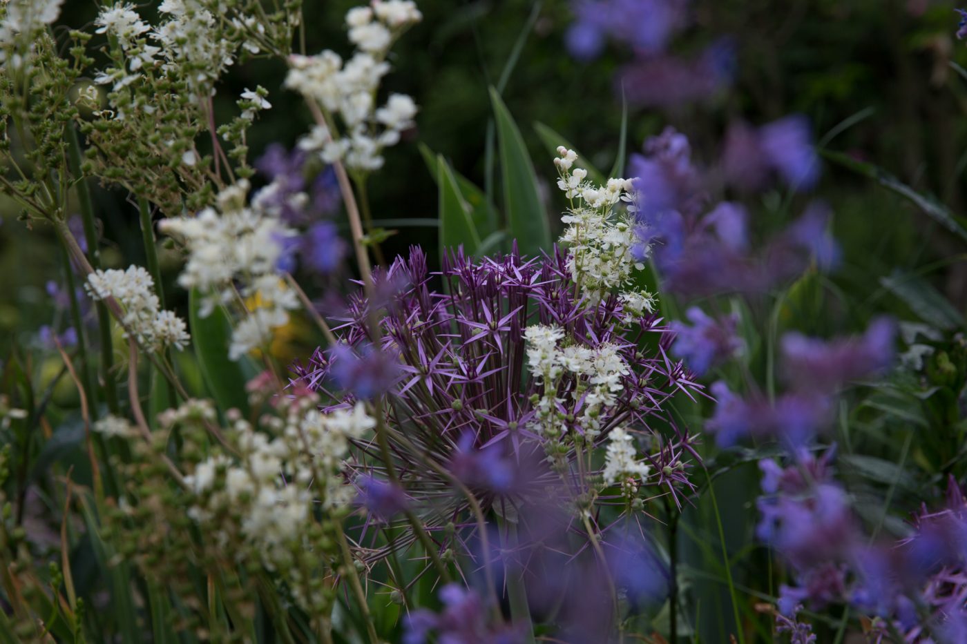 Bild: Alles anders! Trockenheit und Spätfröste als Gartengestalter Photo: Alles anders! Trockenheit und Spätfröste als Gartengestalter