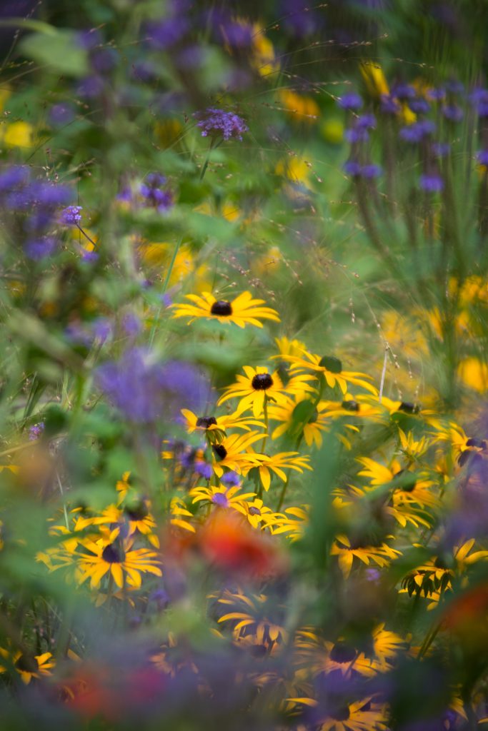 Photo: Der Hermannshof - das Gartenparadies